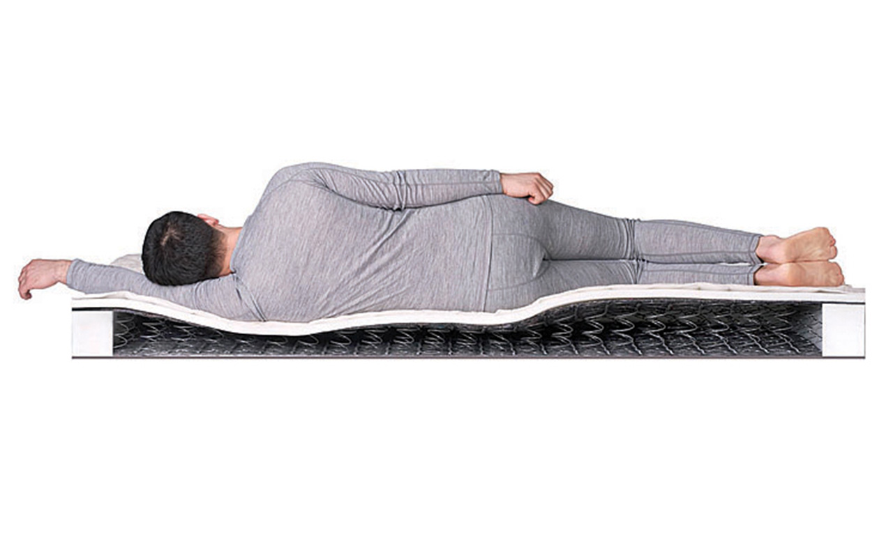 DreamLine Easy Norma BS фото 3